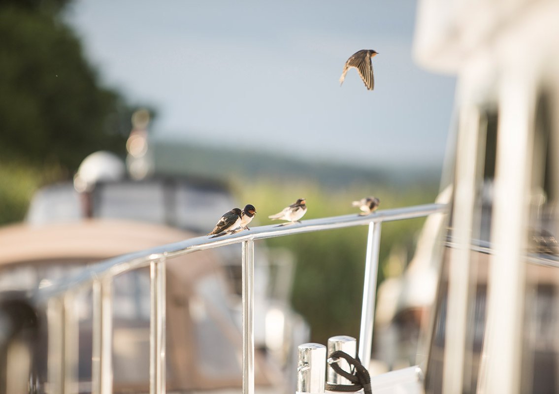 Liegeplatz & Winterlager