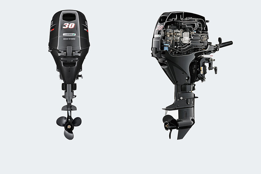 Dieses Bild zeigt den Motor Suzuki DF 30 ATL.