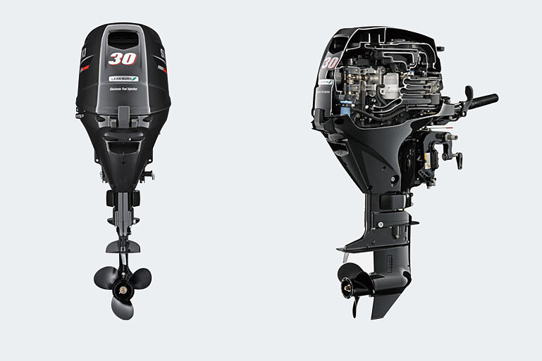 Dieses Bild zeigt den Motor Suzuki DF 30 ATL.