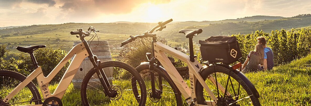 My Esel Bikes im Vordergrund, im Hintergrund sitzen Personen auf einer Wiese